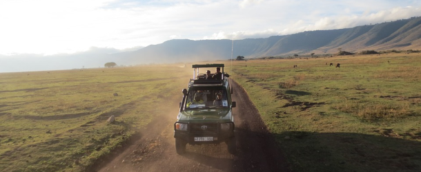 The Best Safari Destinations in Africa