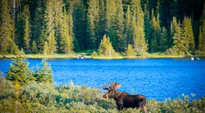Tips and Tricks for Visiting Moraine Lake, Alberta